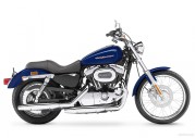 Harley-Davidson XL1200 C Sportster